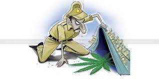 Police caught ganja supplier - 2