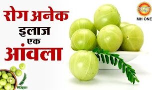 Benefits Of Amla