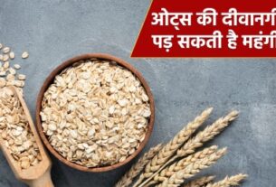 you also eat oats, then know this