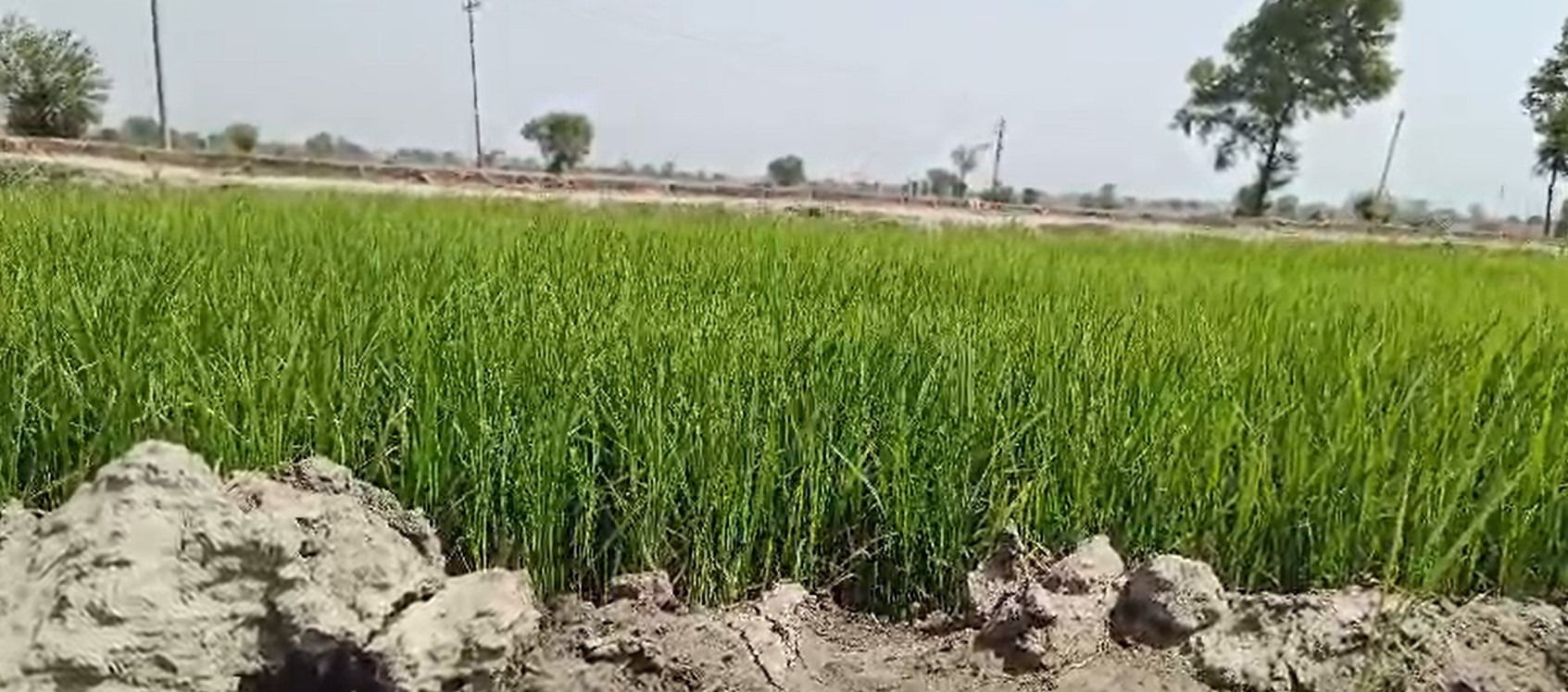 sonipat