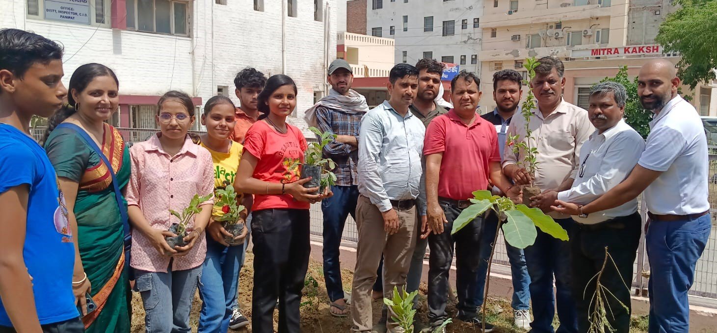 Greenman Professor Daljit Kumar's Herbal Garden
