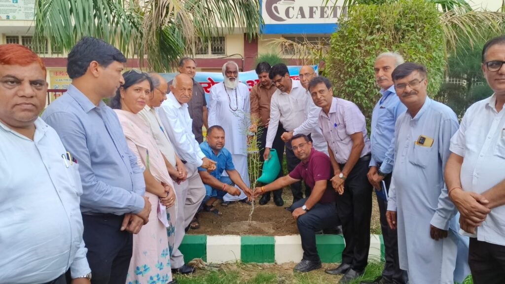 Panipat में पौधारोपण अभियान का शुभारंभ, पर्यावरण संरक्षण हमारे सामूहिक प्रयासों से ही संभव 2 Tree plantation campaign launched - 2