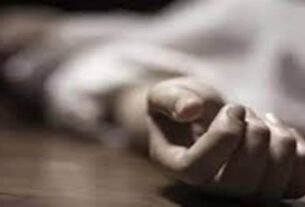 cow trampled an old woman to death - 2