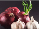 Why are garlic and onions used in worship?