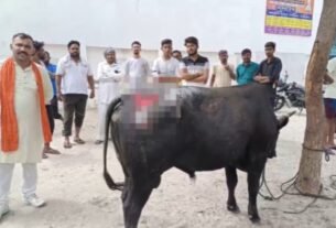 sonipat news