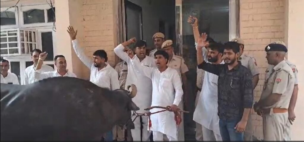 Sonipat में झोटा बांधकर किया गया सरकार के खिलाफ विरोध प्रदर्शन 3 WhatsApp Image 2024 07 15 at 4.20.13 PM