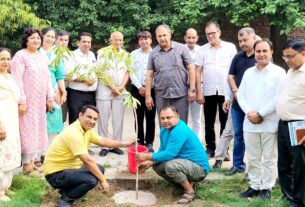 Education Officer planted trees