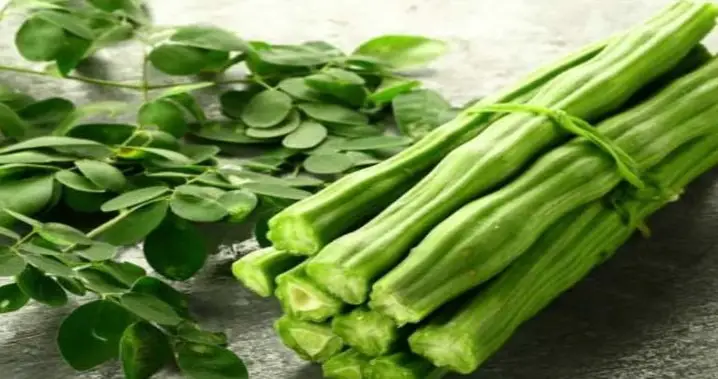 moringa