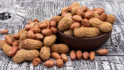 Groundnut