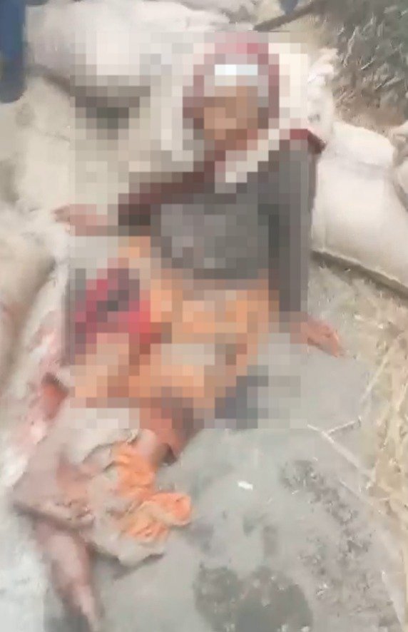 WhatsApp Image 2024 11 14 at 10.13.01 AM