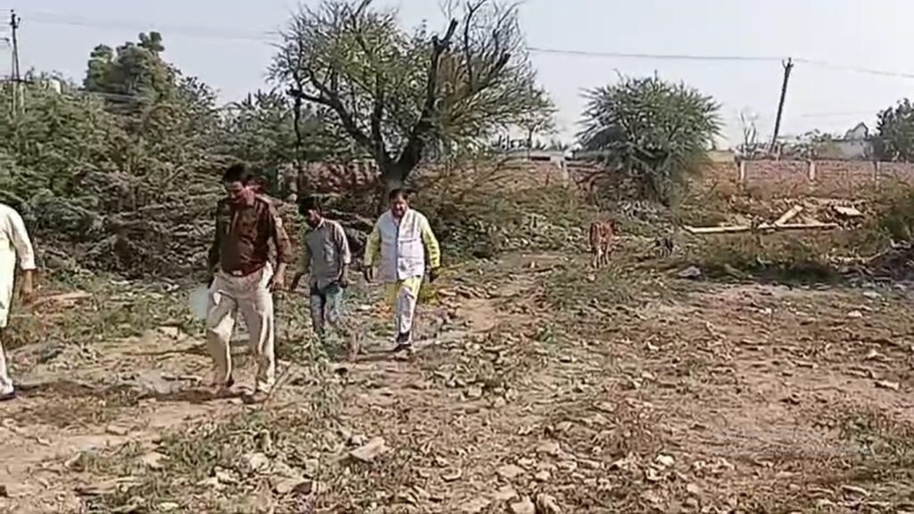 WhatsApp Image 2024 11 28 at 1.27.50 PM