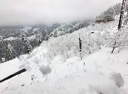 Himachal में बर्फबारी का दौर शुरू, सैलानियों के लिए अलर्ट, शीतलहर और कोहरे का खतरा