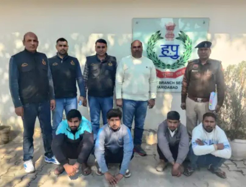 Cow smuggling gang busted in Faridabad