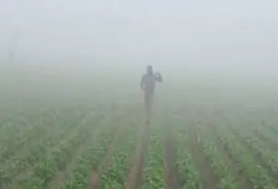 Warning of changing weather in Haryana, alert of rain and fog from 31 January to 3 February