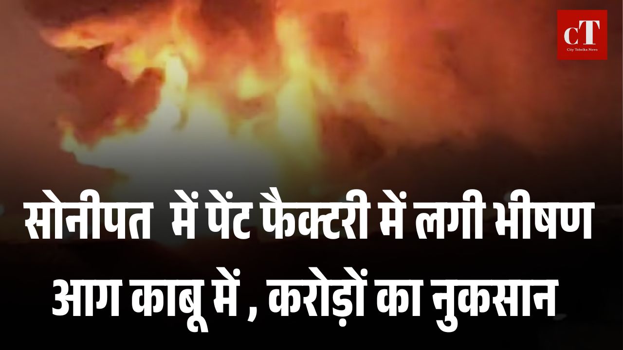 15 दमकल गाड़ियों ने पाया आग पर काबू, फैक्टरी जलकर राख, नुकसान करोड़ों में