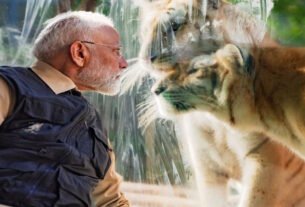 PM Modi's friendly attitude with 'ferocious animals' in Vantara, see some special moments with animals