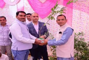 Charkhi Dadri: Plants were presented instead of traditional gifts in the wedding ceremony, message of environmental protection