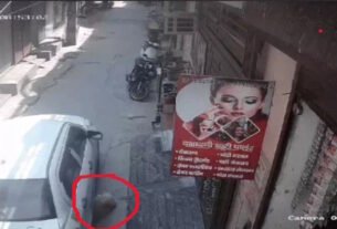 Taxi driver brutally crushes dog in Gurugram: Children protest, driver threatens to kill them