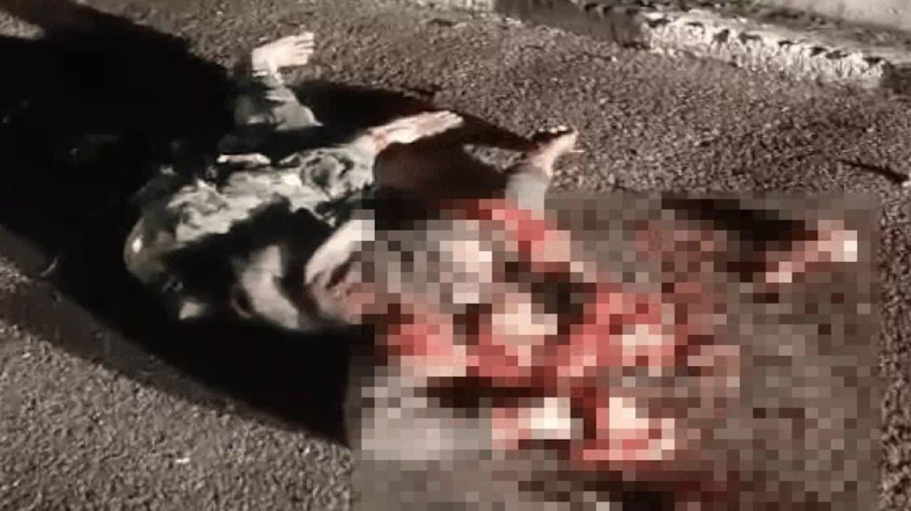Body of a woman found on Delhi-Mumbai Expressway in Nuh, face badly crushed
