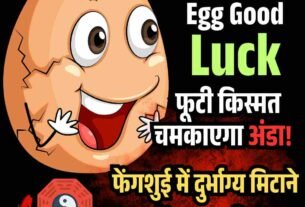 Copy of गोरखपुर से पानीपत तक बनेगा 750 KM लंबा एक्सप्रेसवे 22 जिले सीधे जुड़ेंगे