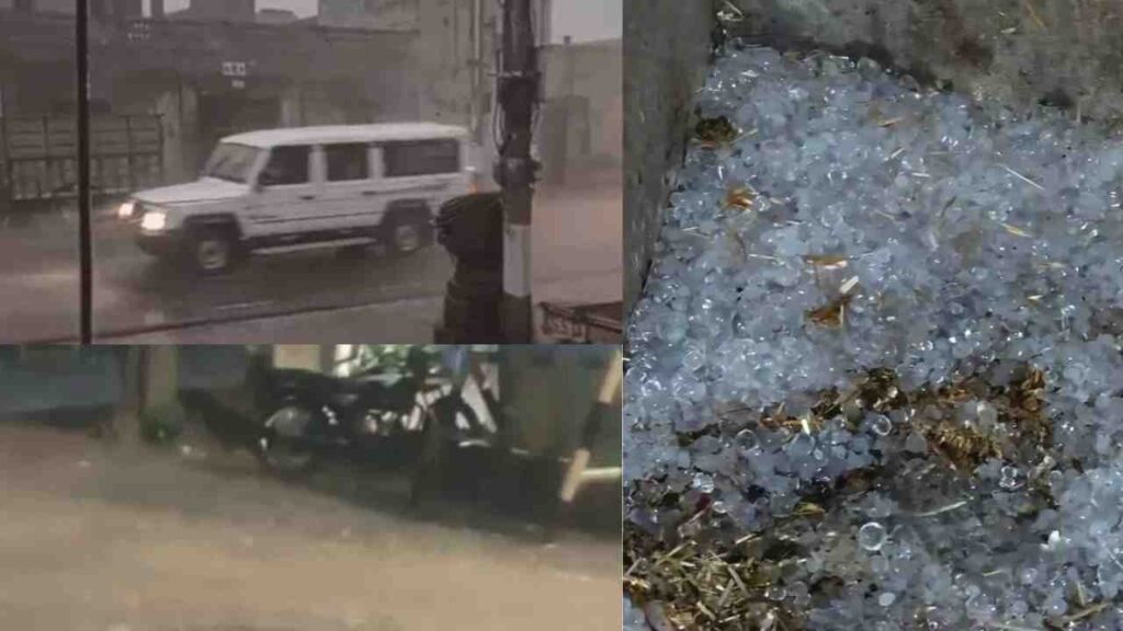 हरियाणा में बारिश और ओलों का कहर: 10 जिलों में खराब रहेगा मौसम, 6 जून से खुश्क होने के आसार 4 Untitled design 13