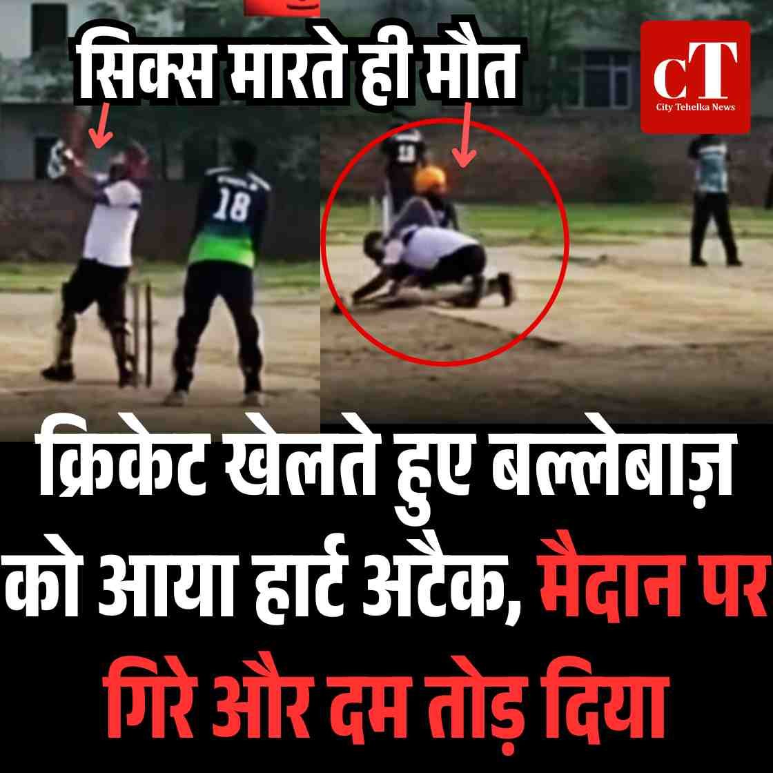 गोपालपुर जू में जल्द गूंजेगी नई शेरनी की दहाड़7 1