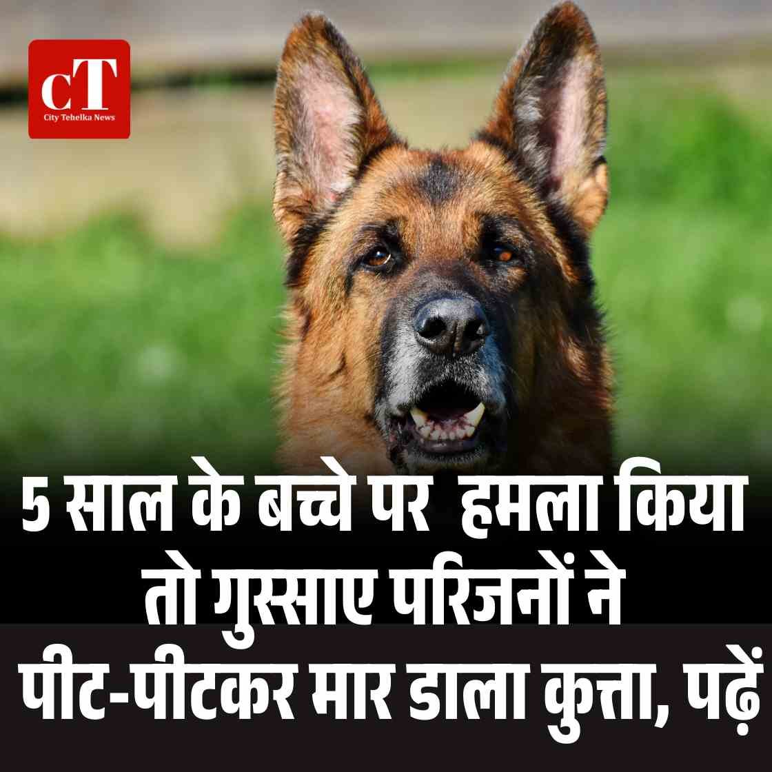 जून में हिमाचल में लौटी ठंड मनाली का तापमान 11 डिग्री गिरा जानें आगे का मौसम 16