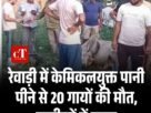 पुरानी गाड़ी का बीमा नई पे चलेगा बचत ही बचत होगीजानें कैसे 3