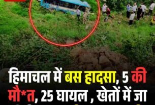 WhatsApp Image 2025 07 24 at 12.03.07