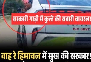 WhatsApp Image 2025 07 24 at 17.01.20