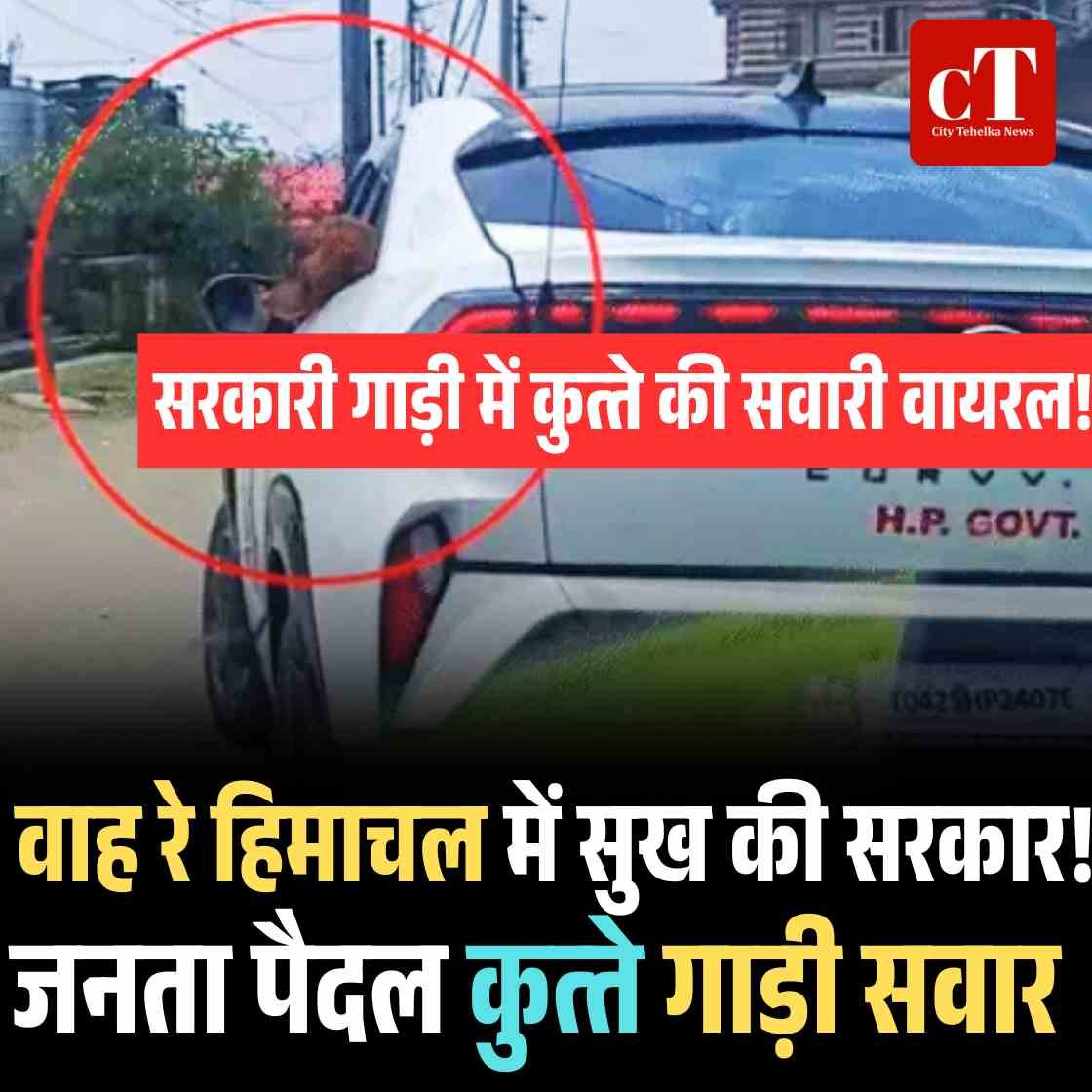 हिमाचल में कुत्ते की वीआईपी सवारी! सरकारी गाड़ी में कुत्ते की वायरल वीडियो ने खोली सिस्टम की पोल, अधिकारियों ने साधी चुप्पी
