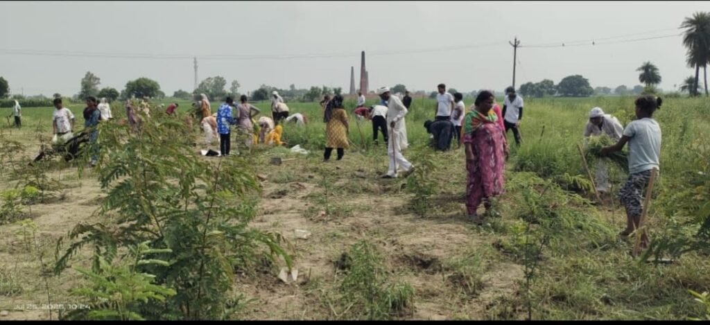 WhatsApp Image 2025 07 25 at 13.29.07