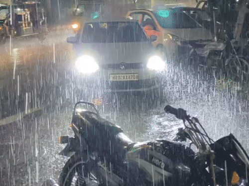 हरियाणा में झमाझम बारिश का दौर, 8 जिलों में अलर्ट 4 gifs5 7 1748445504