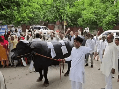 महात्मा गांधी आवास योजना में प्लॉट मिलने के बाद भी नहीं मिला कब्जा, प्रशासन को दिया 5 दिन का अल्टीमेटम 3 image 85