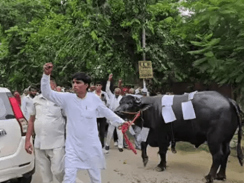 महात्मा गांधी आवास योजना में प्लॉट मिलने के बाद भी नहीं मिला कब्जा, प्रशासन को दिया 5 दिन का अल्टीमेटम 4 image 86