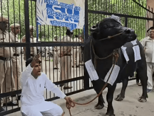 महात्मा गांधी आवास योजना में प्लॉट मिलने के बाद भी नहीं मिला कब्जा, प्रशासन को दिया 5 दिन का अल्टीमेटम 5 image 87