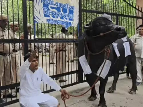महात्मा गांधी आवास योजना में प्लॉट मिलने के बाद भी नहीं मिला कब्जा, प्रशासन को दिया 5 दिन का अल्टीमेटम 5 image 87