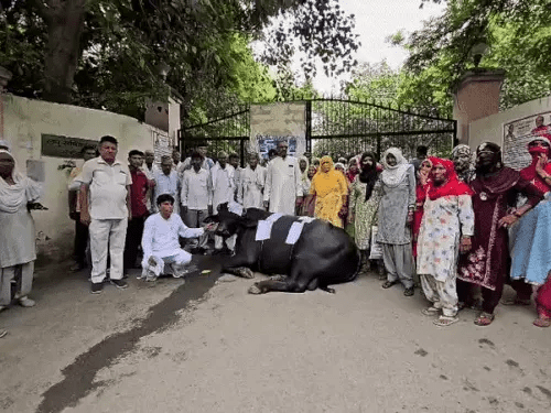 महात्मा गांधी आवास योजना में प्लॉट मिलने के बाद भी नहीं मिला कब्जा, प्रशासन को दिया 5 दिन का अल्टीमेटम 6 image 88
