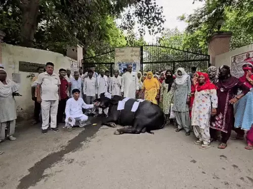 महात्मा गांधी आवास योजना में प्लॉट मिलने के बाद भी नहीं मिला कब्जा, प्रशासन को दिया 5 दिन का अल्टीमेटम 6 image 88