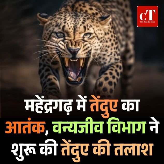नारनौल: महेंद्रगढ़ के गोलवा गांव में तेंदुए का आतंक, पशु पर हमला कर दो बार पहुंचा बाड़े तक, ग्रामीणों ने वन विभाग पर लगाया लापरवाही का आरोप