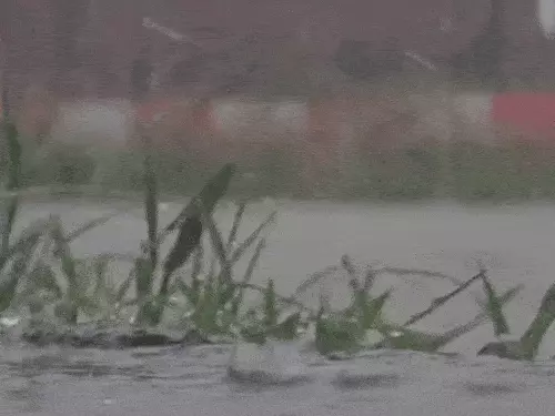 हरियाणा के 9 जिलों में बारिश, HTET में भीगते पहुंचे परीक्षार्थी 6 whatsappvideo2025 07 31at62452am1 ezgifcom optimiz 1753926651