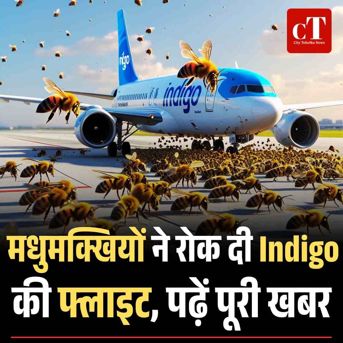 सूरत एयरपोर्ट पर मधुमक्खियों ने रोक दी Indigo की फ्लाइट, पढ़ें पूरी खबर