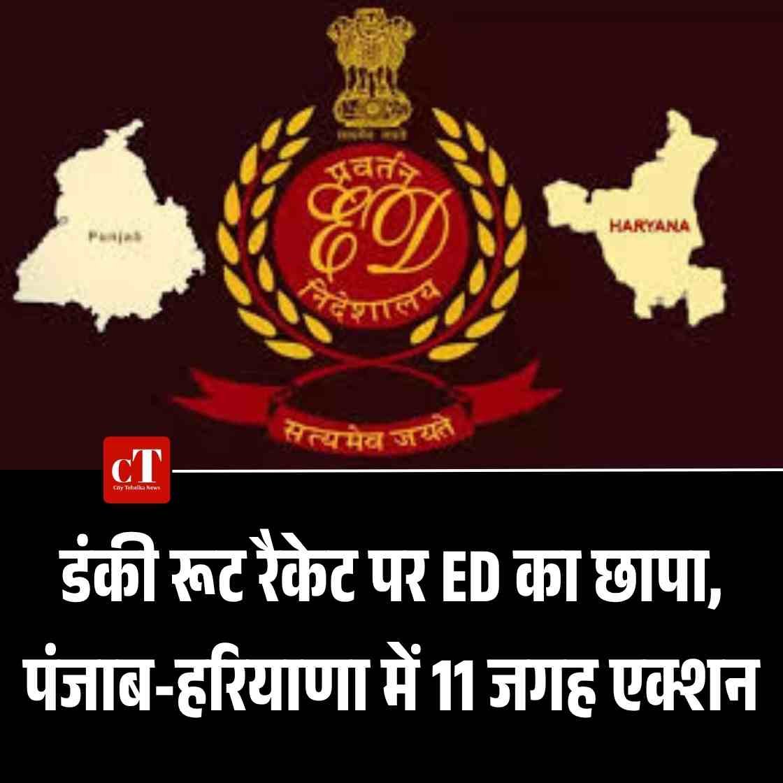 हिमाचल में फैली नई सेब बीमारी सीएम ने जांच के आदेश दिए1