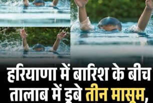 हिमाचल में फैली नई सेब बीमारी सीएम ने जांच के आदेश दिए7