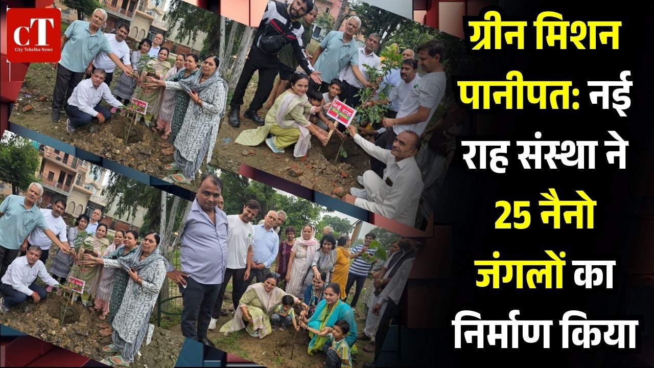 ग्रीन मिशन पानीपत: नई राह संस्था ने 25 नैनो जंगलों का निर्माण किया 4 Add a heading 5 1