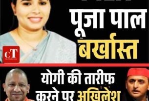 Matcha Powder Insta 13