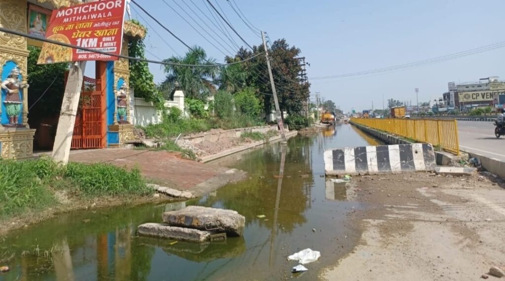 WhatsApp Image 2025 08 07 at 12.35.44 1