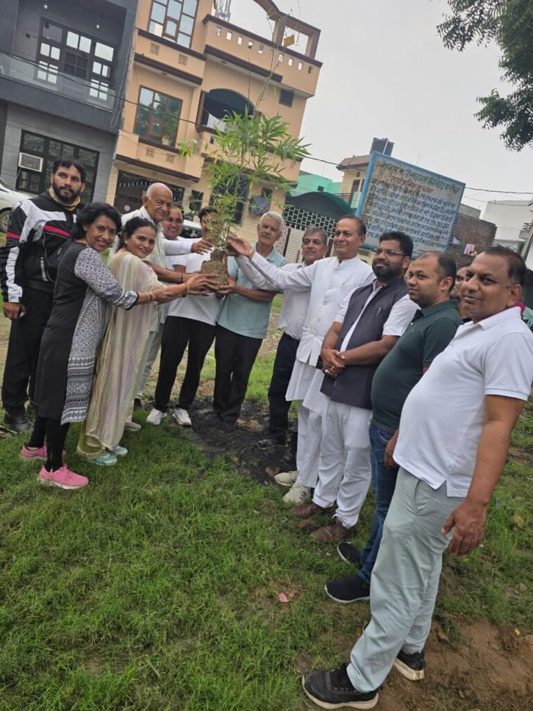 ग्रीन मिशन पानीपत: नई राह संस्था ने 25 नैनो जंगलों का निर्माण किया 6 WhatsApp Image 2025 08 17 at 20.26.01 1