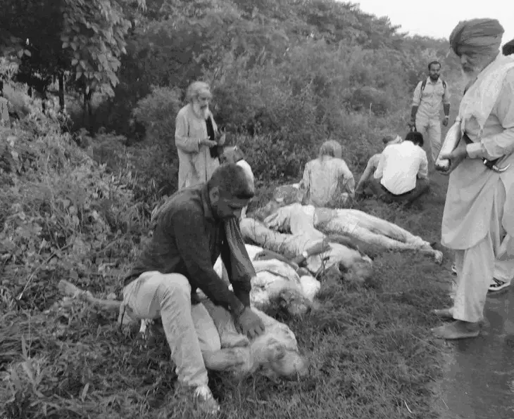 हरियाणा में रोड़वेज बस और पिकअप में टक्कर, गुरुद्वारा जा रहे 4 की मौत 4 ezgif 253438659fe1bf 1756092589