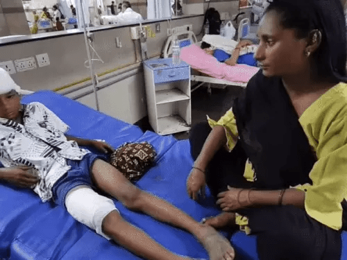 हरियाणा में पिटबुल का आतंक: युवक के प्राइवेट पार्ट को नोचा, बाप बनने की सम्भावना पर संकट 2 image 13